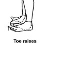 Toe raises